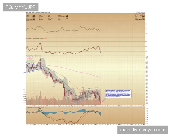 冬歇期后各队状态调整 联赛排名出现小幅波动